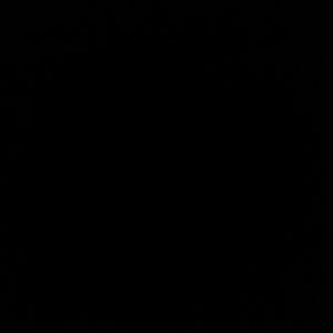 Meet your Posher, Berenice