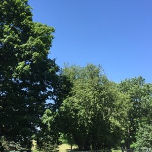 Meet your Posher, Nichole