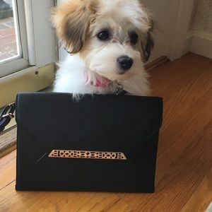 Stella &Dot clutch