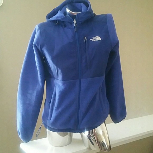 The NorthFace Denali 2 Hoodie Jacket