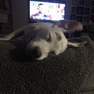 Meet your Posher, Kelli