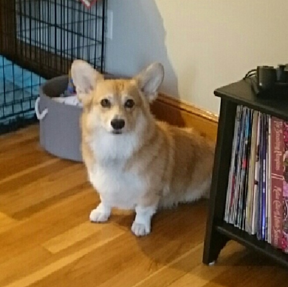 Meet your Posher, Annette