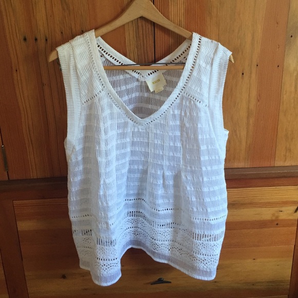 Anthropologists Maeve top