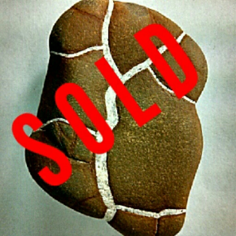 SOLD! RARE 50 Million Year Old SEPTARIAN Stone RAW