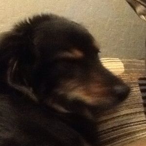 Meet your Posher, Adrienne