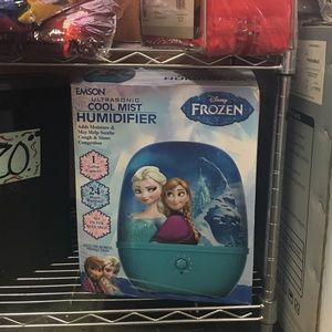 Frozen humidifier