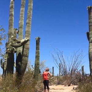 Meet your Posher, Samantha