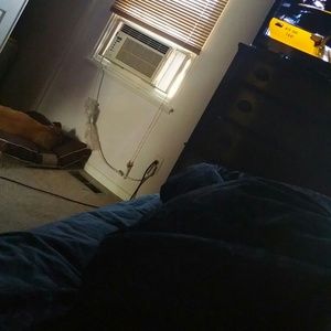 Meet your Posher, Monique