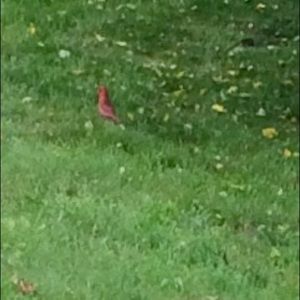 Meet your Posher, Fran