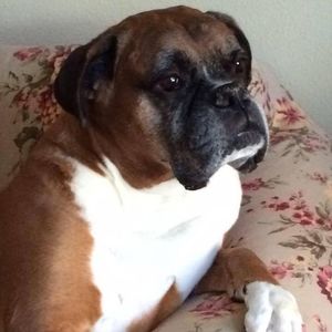 Meet your Posher, Patricia