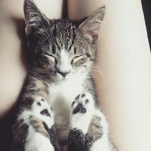 Meet your Posher, Marissa