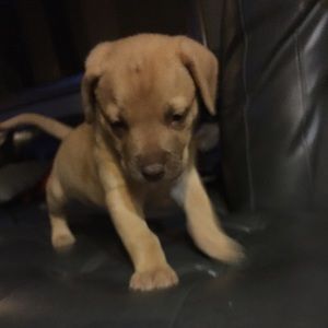 Meet your Posher, Madison