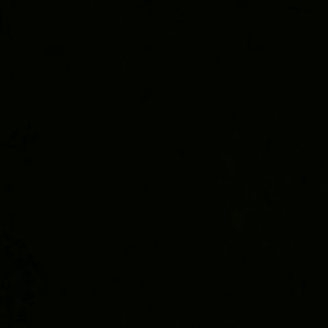 Meet your Posher, Precious