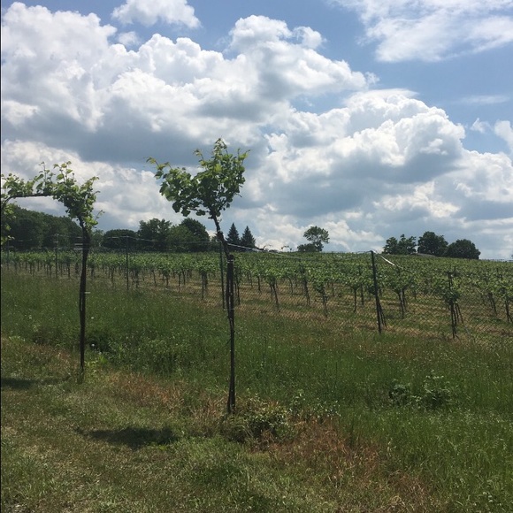 Meet your Posher, Kristen