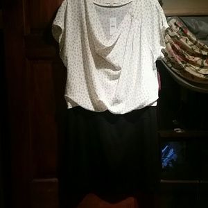 BRAND NEW WITH TAGS! LOFT DRESS SIZE 12