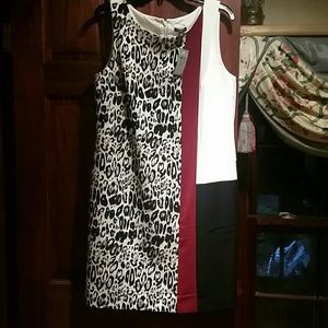 BRAND NEW W TAGS ANN TAYLOR DRESS SIZE 12P