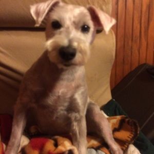 Meet your Posher, Melanie