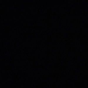 Meet your Posher, Allie