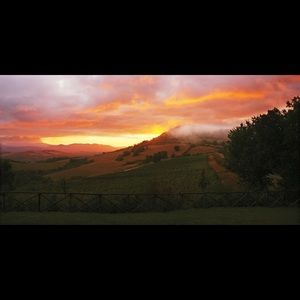 Meet your Posher, Judy