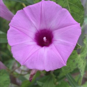 Meet your Posher, Sherry