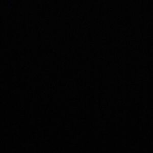 Meet your Posher, Lilly