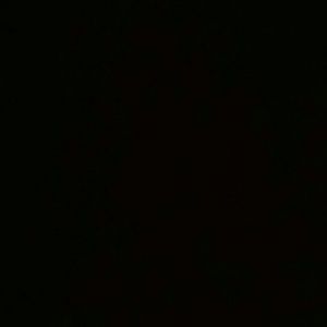 Meet your Posher, Dominga