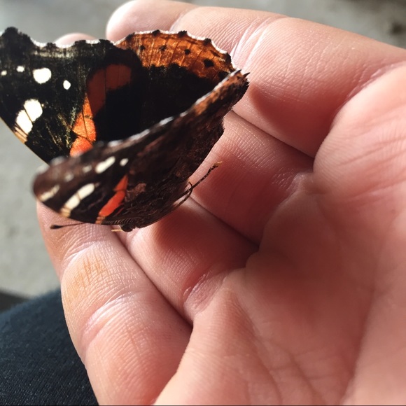 Meet your Posher, Julia