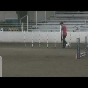 Meet your Posher, Stacy