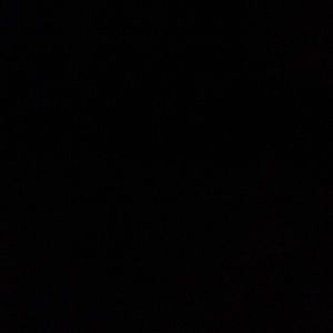 Meet your Posher, Priscilla