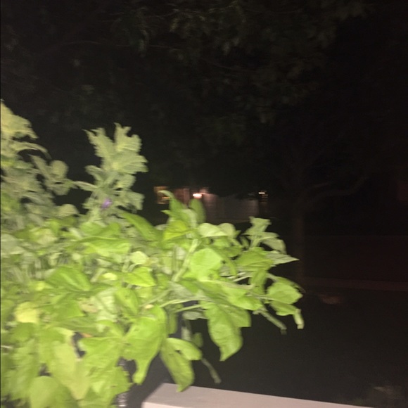 Meet your Posher, Rachel - Picture 1 of 1