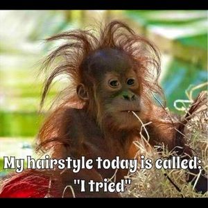 Meet your Posher, Sunshine