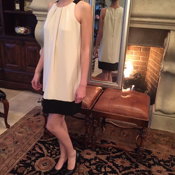 Donna Ricco New York Creme Shift Dress