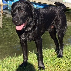 Meet your Posher, Mallory