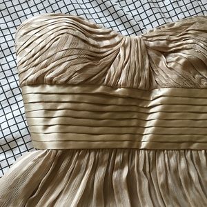 BCBG Silk Champagne Dress