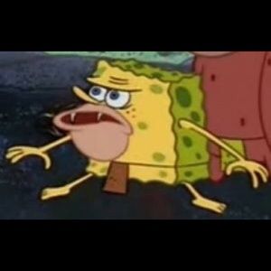 Meet your Posher, Andres