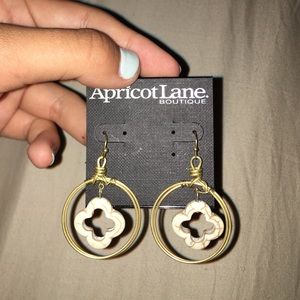 Gorgeous pair of earrings