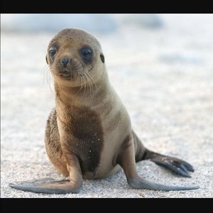 Meet your Posher, Annabel