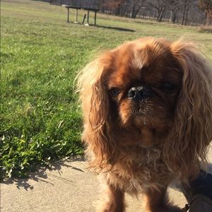 Meet your Posher, Patricia