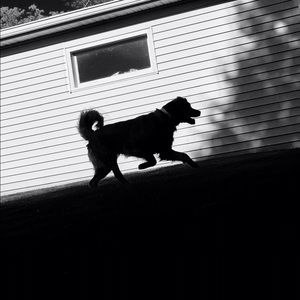 Meet your Posher, Carly