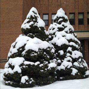 Meet your Posher, Morgan