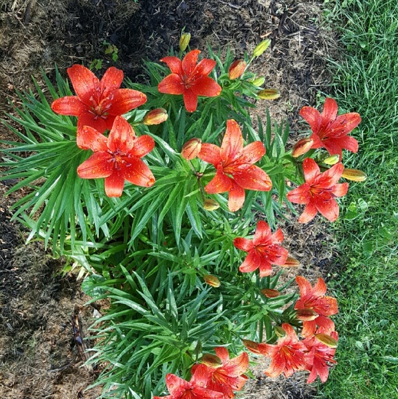 Meet your Posher, Catherine