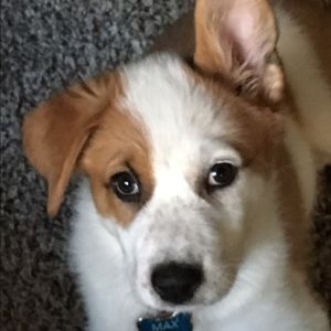 Meet your Posher, Kathi