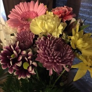 Meet your Posher, Yaralis