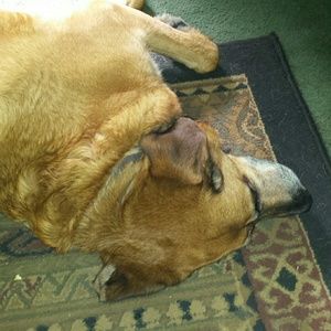 Meet your Posher, Brenda