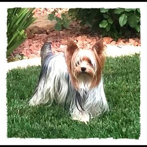 Meet your Posher, Heidi