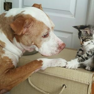 Meet your Posher, Katrina