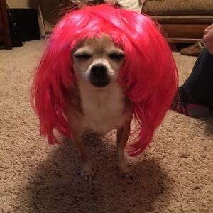 Meet your Posher, Marleene