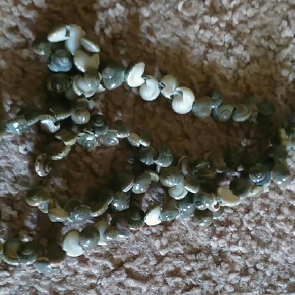 Beach shell Necklace