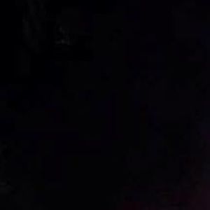 Meet your Posher, Bella