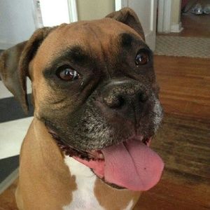 Meet your Posher, Tara